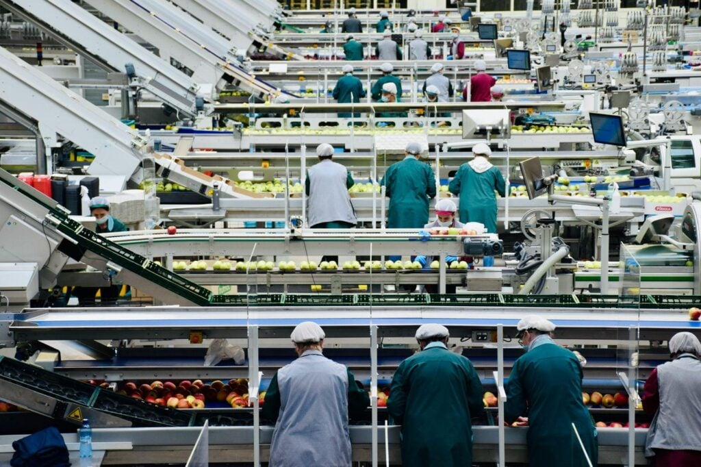 Workers in protective clothing sorting apples along conveyor lines inside a busy industrial processing facility